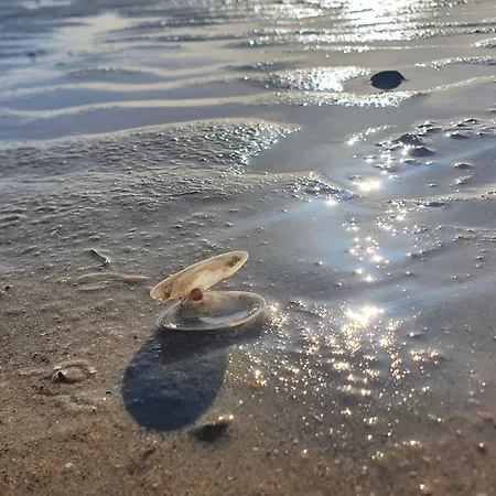 Fischerhuus Lev -farwol Apartment